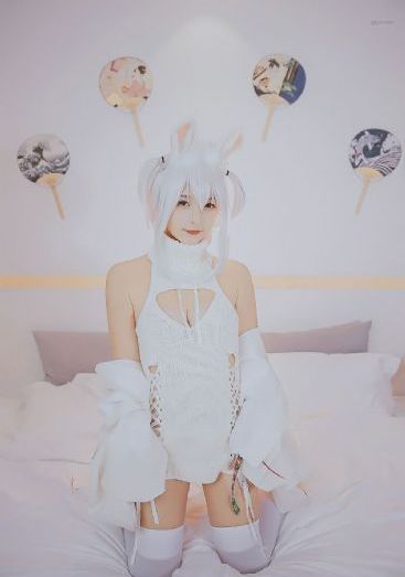 爹妈满院电视剧免费播放在线观看