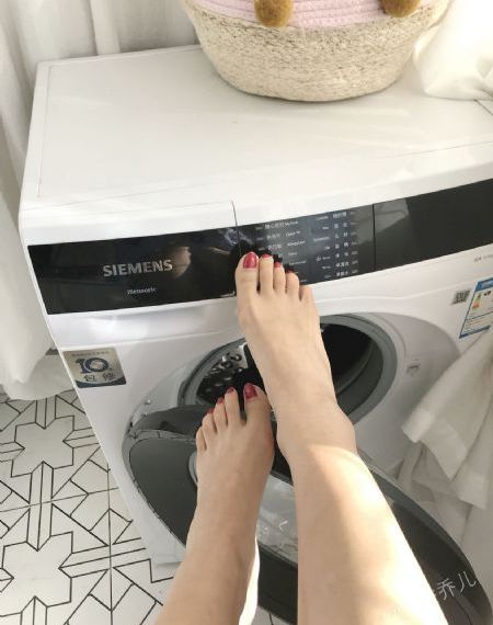 顶楼的大象