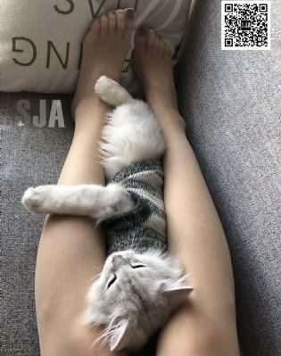 无人区电影高清免费完整版