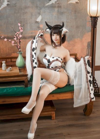 弟弟的女人们