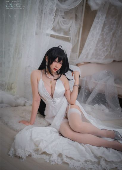 偷心画师电视剧免费观看完整版