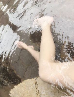 风之圣痕动漫在线观看