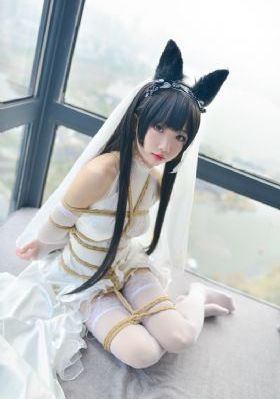 明星造梦工厂